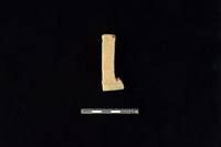 陶片藏品圖，第1張